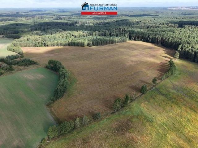 Grunt na sprzedaż w Sarcz, powiat czarnkowsko-trzcianecki