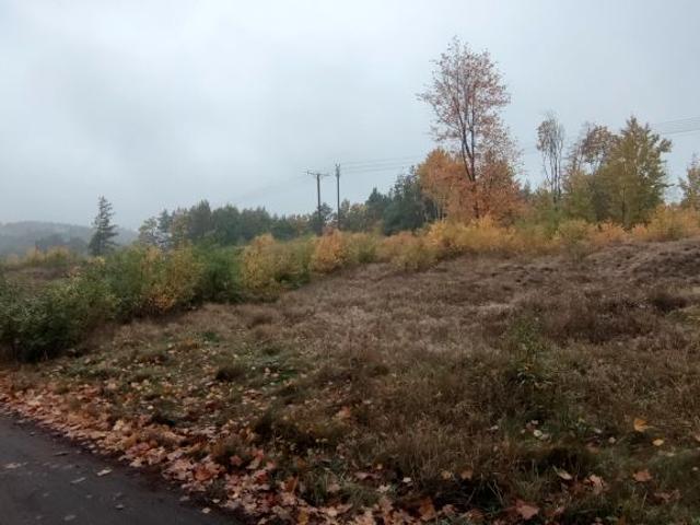 Grunt na sprzedaż w Chodzież, Wielkopolskie