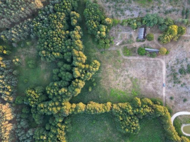 Grunt na sprzedaż w Pąchy, Wielkopolskie