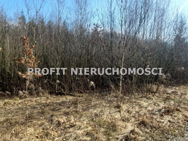 Grunt na sprzedaż w Łódź, Łódzkie