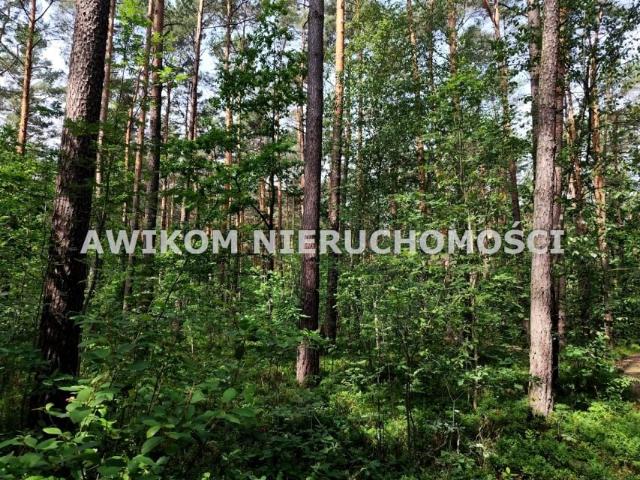 Grunt na sprzedaż w Skierniewice, Łódzkie
