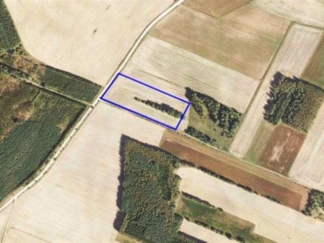 Grunt na sprzedaż w Szudziałowo, Podlaskie