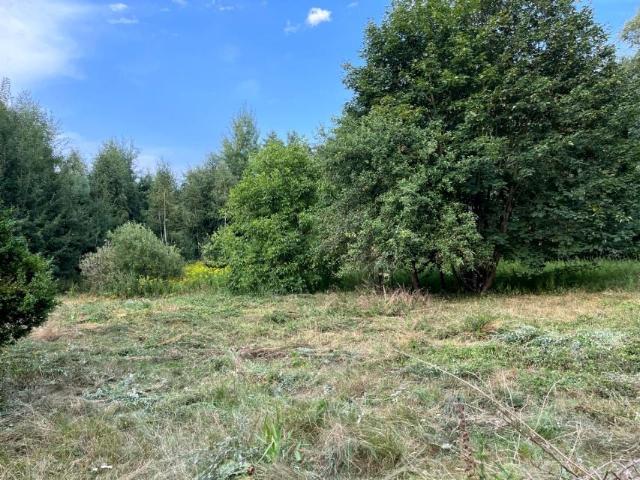 Grunt na sprzedaż w Dąbrowa Chełmińska, Kujawsko-pomorskie