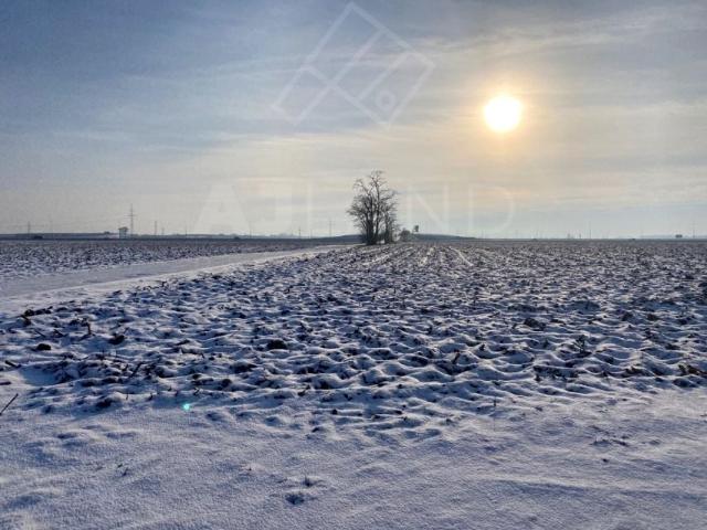 Grunt na sprzedaż w Gołuski, Wielkopolskie