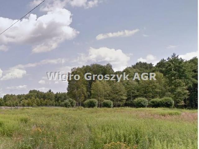 Grunt na sprzedaż w Nowe Polesie, powiat nowodworski