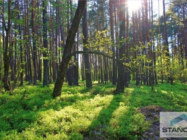 Grunt na sprzedaż w Dziwnów, Zachodniopomorskie