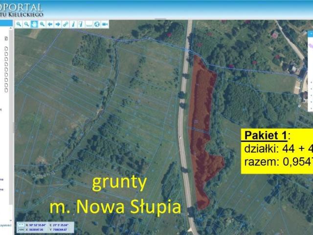 Grunt na sprzedaż w Nowa Słupia, Świętokrzyskie