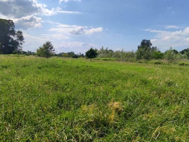 Grunt na sprzedaż w Piaseczno, Mazowieckie
