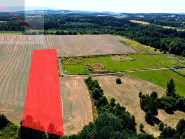 Grunt na sprzedaż w Olszyna, Dolnośląskie