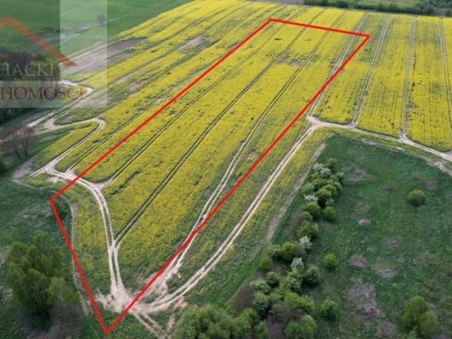 Grunt na sprzedaż w Olszyna, Dolnośląskie