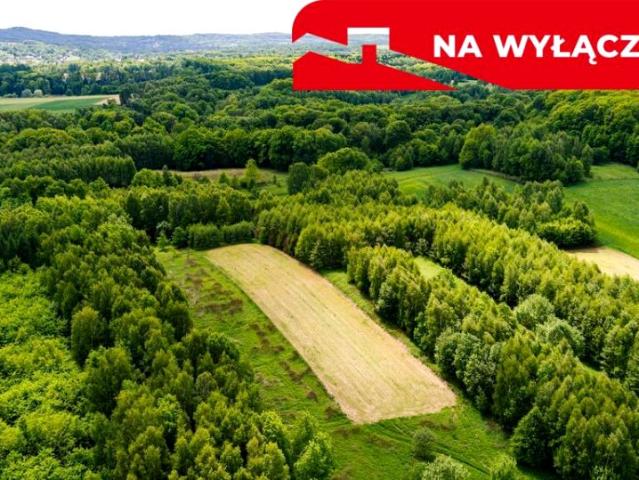 Grunt na sprzedaż w Skrzyszów, Małopolskie