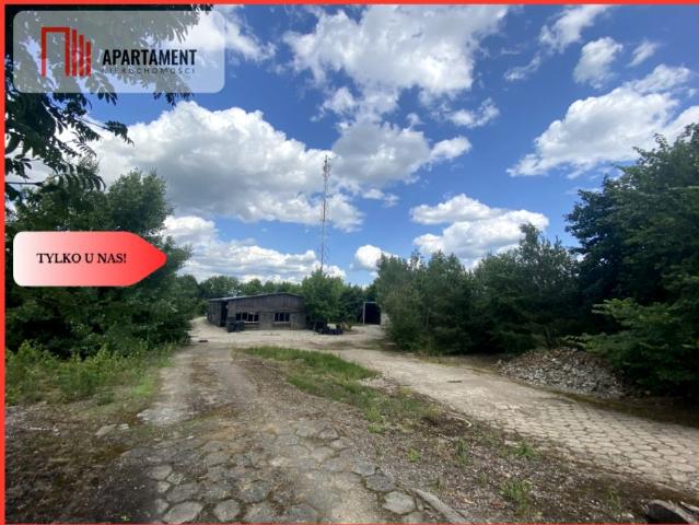 Grunt na sprzedaż w Lubiewo, Kujawsko-pomorskie