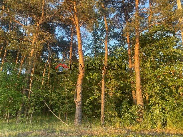 Grunt na sprzedaż w Kędzierzyn-koźle, Opolskie