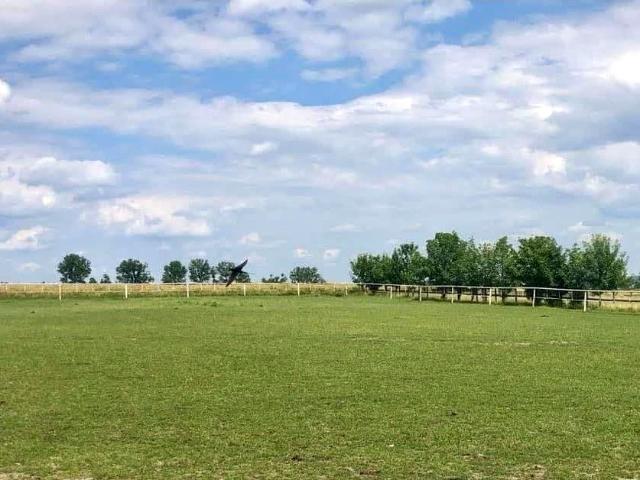 Grunt na sprzedaż w Parzęczew, Łódzkie
