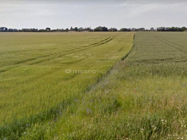 Grunt na sprzedaż w Środa Wielkopolska, Wielkopolskie