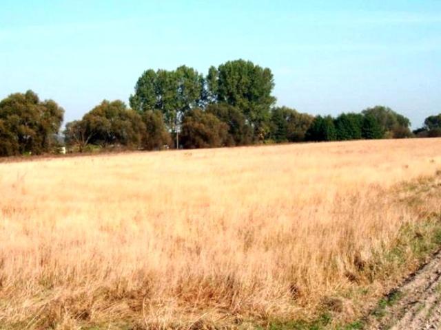 Grunt na sprzedaż w Gortatowo, Wielkopolskie