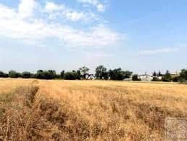 Grunt na sprzedaż w Niepruszewo, Wielkopolskie