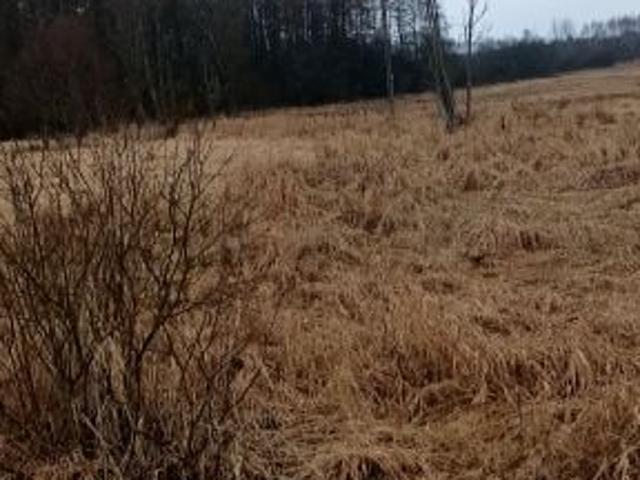 Grunt na sprzedaż w Białowieża, Podlaskie