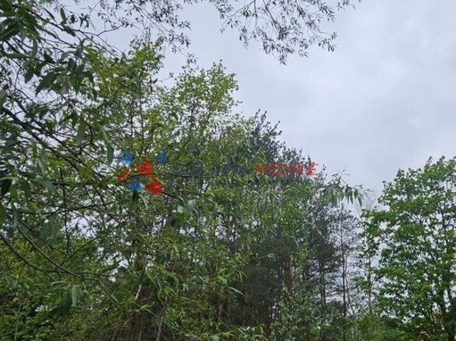 Grunt na sprzedaż w Zalesie Górne, Mazowieckie