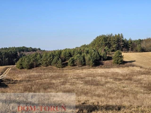 Grunt na sprzedaż w Czernikowo, Kujawsko-pomorskie