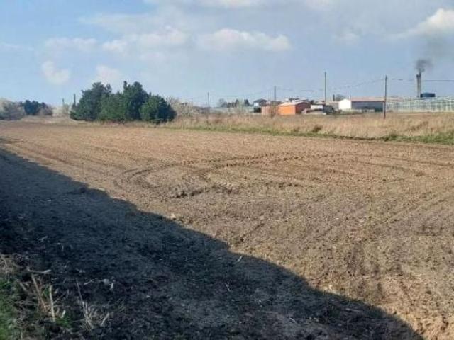 Grunt na sprzedaż w Kalisz, Wielkopolskie
