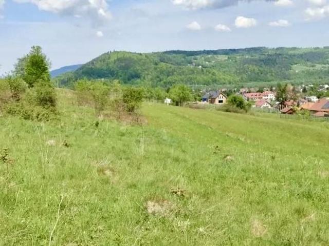 Grunt na sprzedaż w Świnna, Śląskie