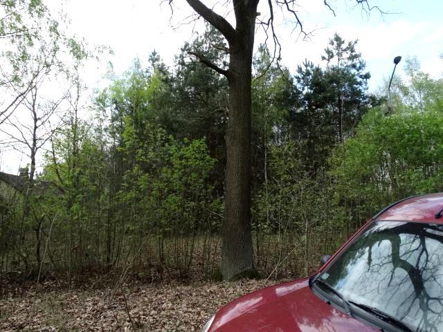 Grunt na sprzedaż w Miedniewice, powiat żyrardowski