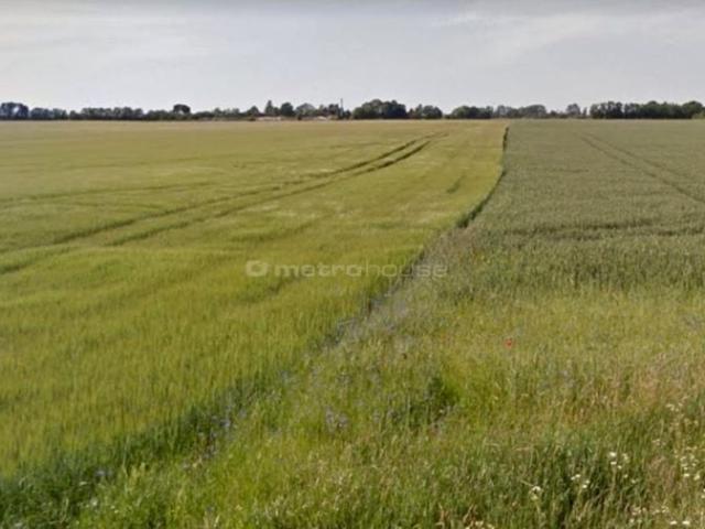 Grunt na sprzedaż w Środa Wielkopolska, Wielkopolskie