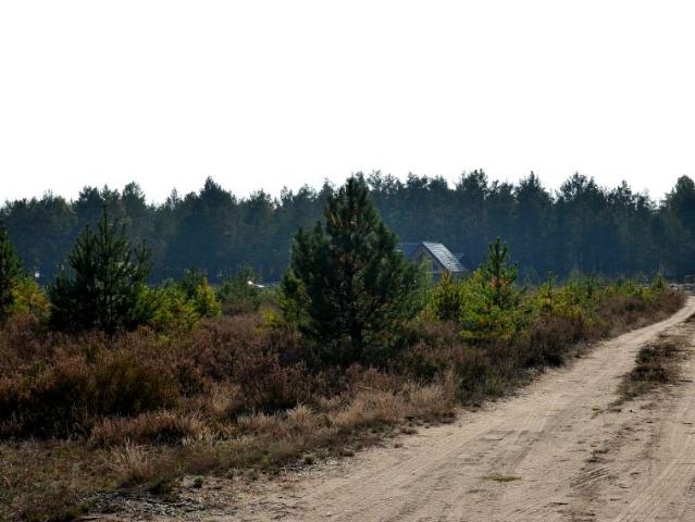Grunt na sprzedaż w Borsk, Pomorskie