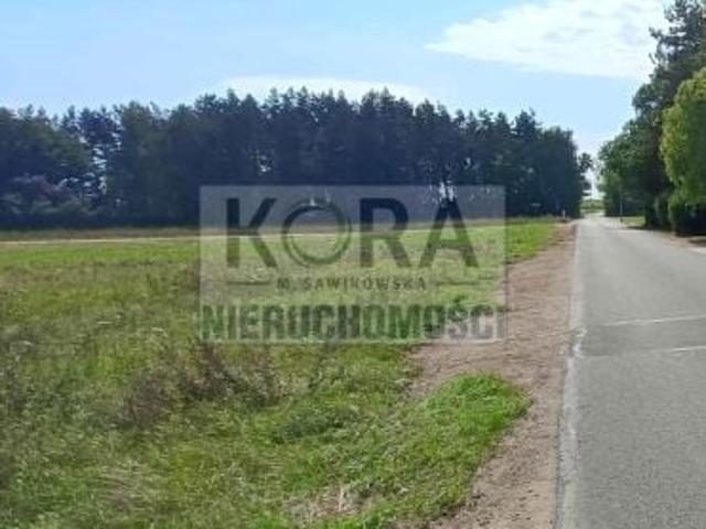 Grunt na sprzedaż w Ganina, Wielkopolskie
