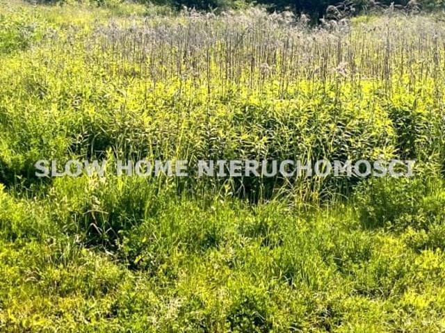 Grunt na sprzedaż w Lesznowola, Mazowieckie