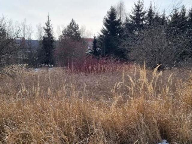 Grunt na sprzedaż w Rusiec, Mazowieckie