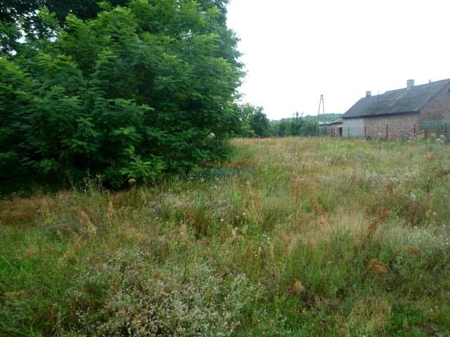 Grunt na sprzedaż w Sierzchów, powiat piaseczyński