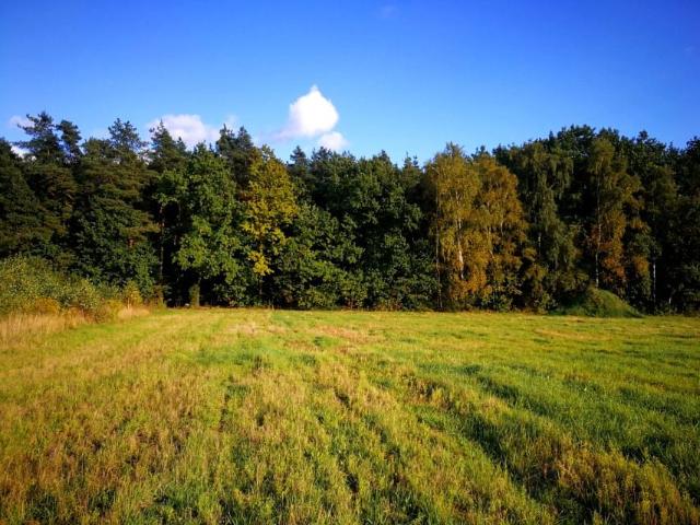 Grunt na sprzedaż w Tarczyn, Mazowieckie