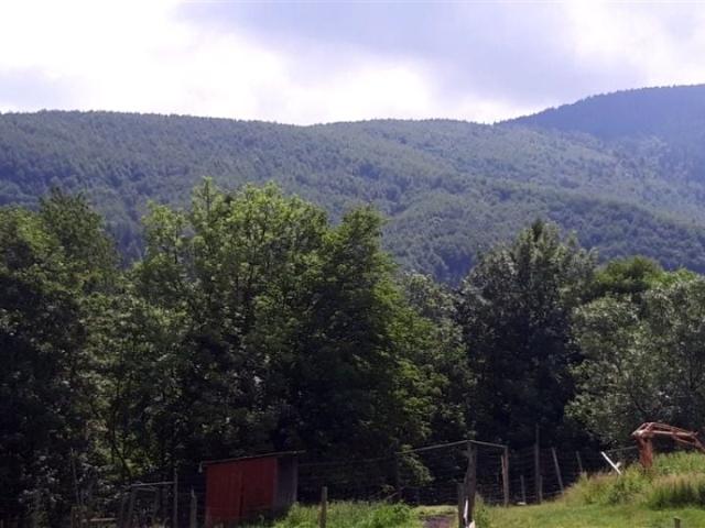 Grunt na sprzedaż w Zawoja, Małopolskie