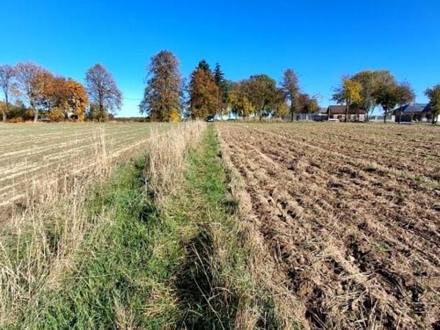 Grunt na sprzedaż w Żabia Wola, Lubelskie
