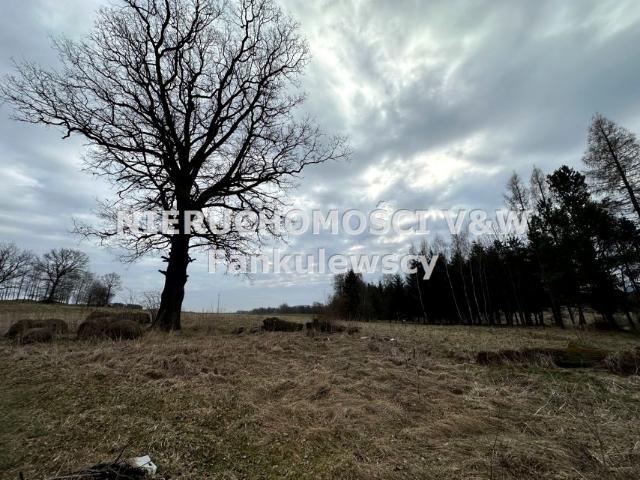 Grunt na sprzedaż w Stara Kamienica, Dolnośląskie