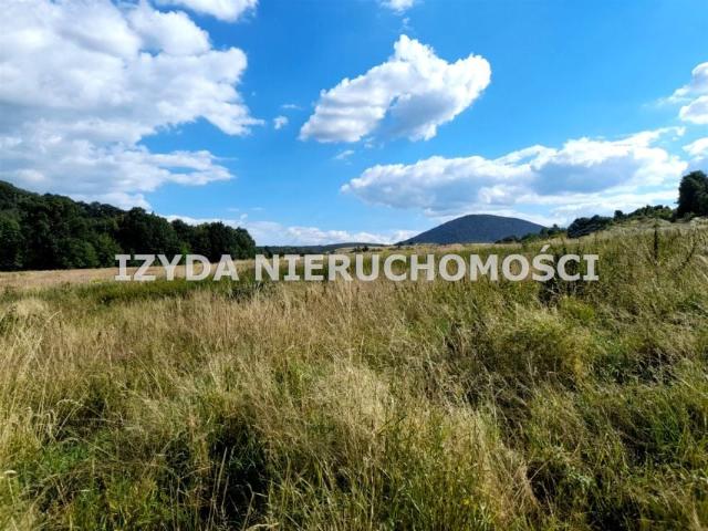 Grunt na sprzedaż w Struga, Dolnośląskie