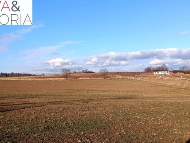 Grunt na sprzedaż w Stare Bogaczowice, Dolnośląskie