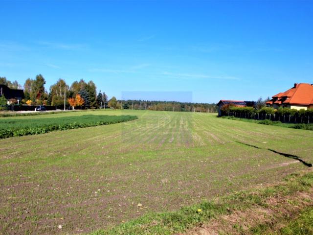 Grunt na sprzedaż w Pierzchno, Śląskie