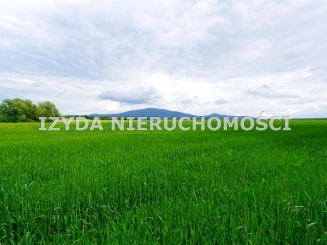 Grunt na sprzedaż w Marcinowice, Dolnośląskie