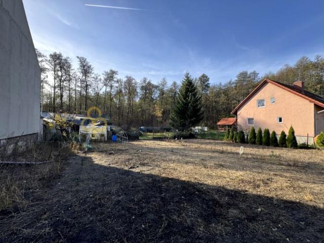Grunt na sprzedaż w Zielona Góra, Lubuskie