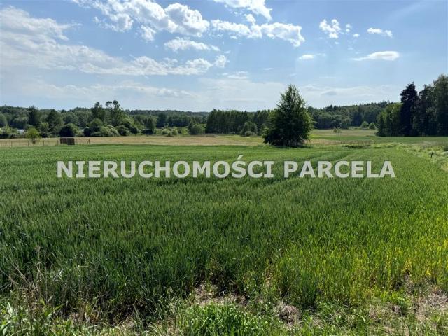 Grunt na sprzedaż w Jastrzębie-zdrój, Śląskie
