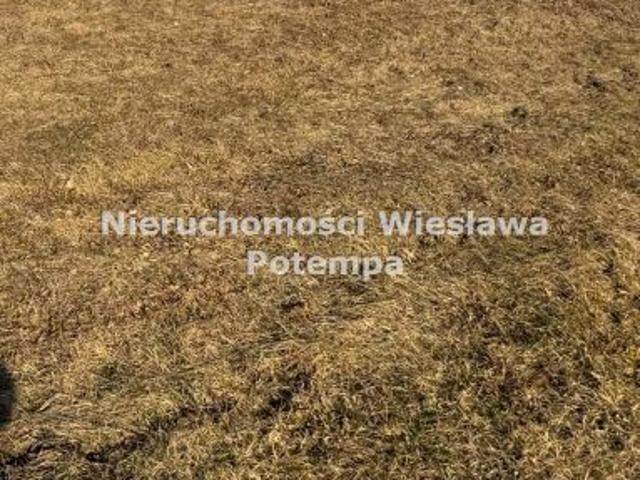 Grunt na sprzedaż w Żory, Śląskie