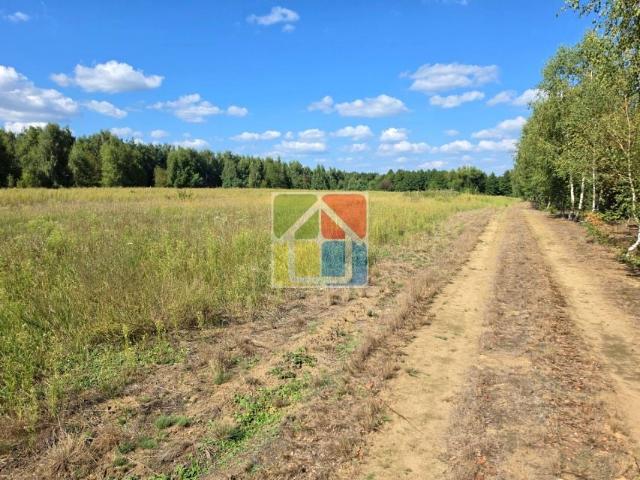Grunt na sprzedaż w Teodorów, powiat gostyniński