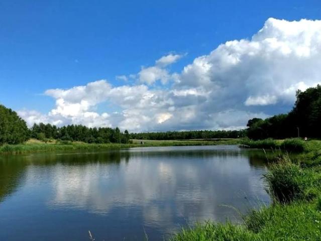 Grunt na sprzedaż w Grodzisko, Śląskie