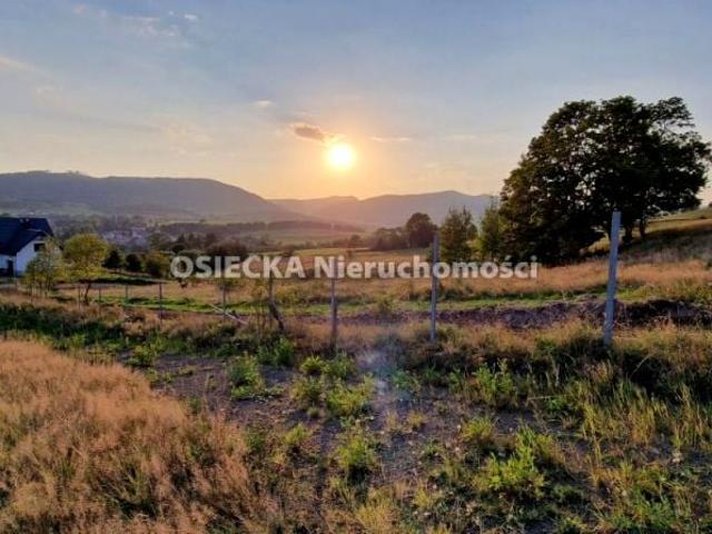 Grunt na sprzedaż w Głuszyca, Dolnośląskie