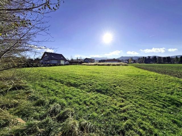 Grunt na sprzedaż w Jaworze, Śląskie