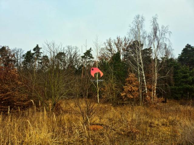 Grunt na sprzedaż w Kruszyn, Kujawsko-pomorskie