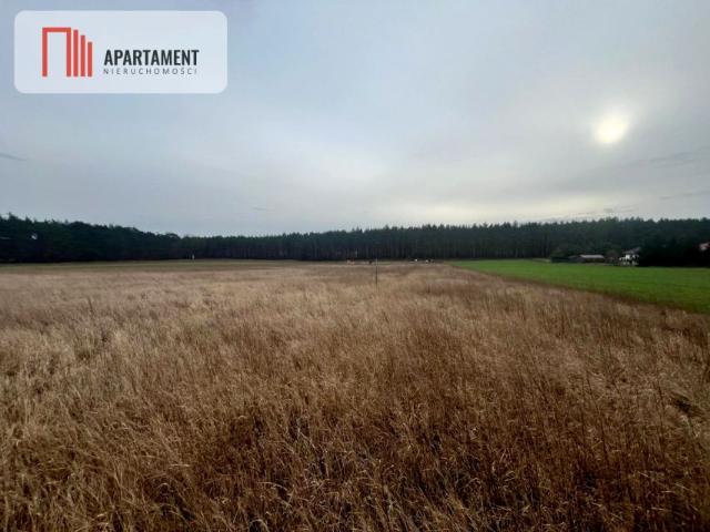 Grunt na sprzedaż w Kołaczkowo, Kujawsko-pomorskie